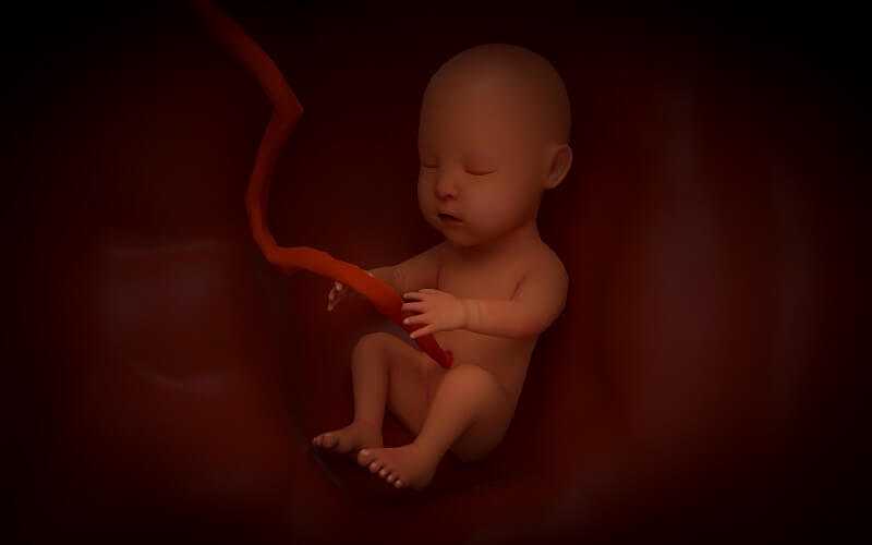 郑州试管选性别供卵费用多少？郑州试管供卵助孕生男孩