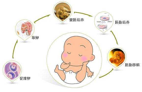 中医院中医调理助孕经验，附属医院试管婴儿专家