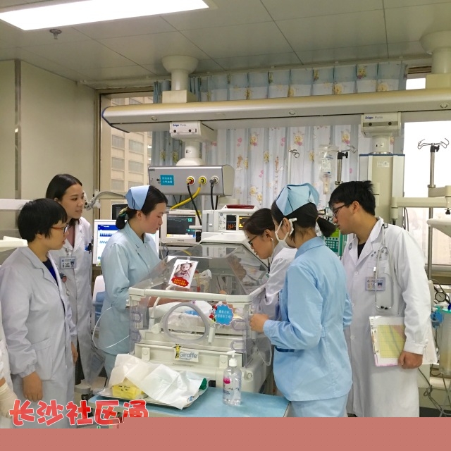 <strong>借腹代怀生子中介黑幕，警惕地下机构供卵试管陷阱</strong>