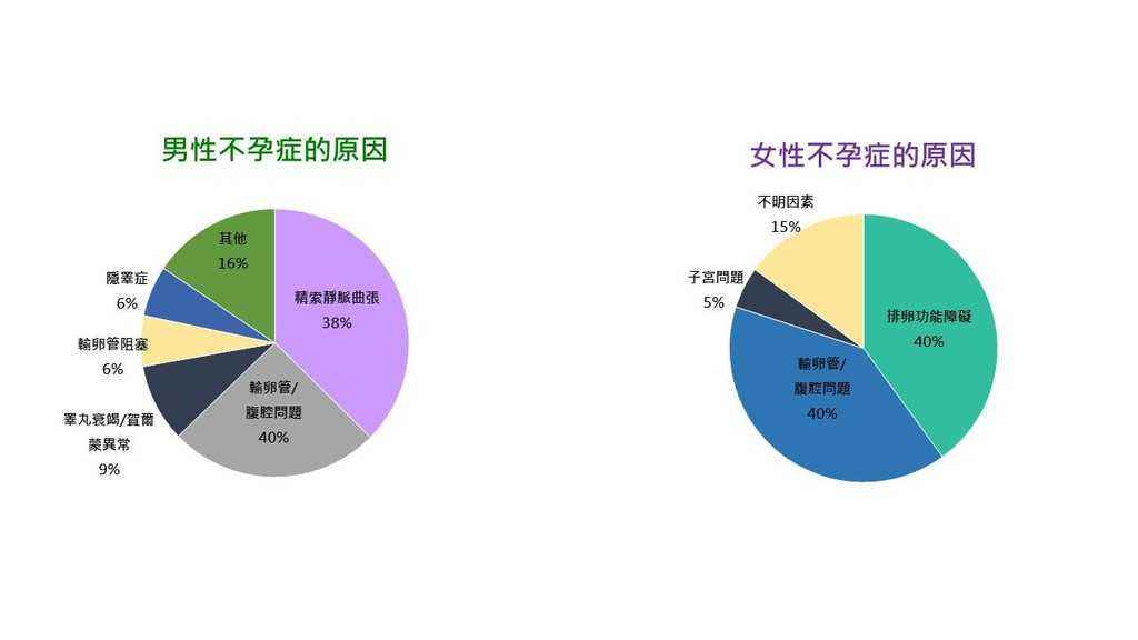 郑州爱丁试管机构医生团队介绍，对比郑州美中商都试管怎么样